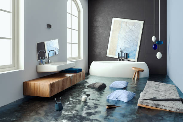 Best Professional water damage repair  in Leavenworth, KS