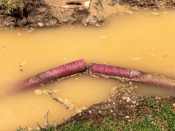 Best Water damage restoration near me  in Leavenworth, KS